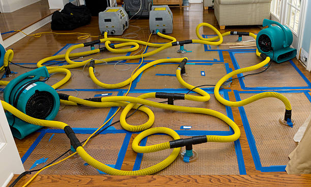 Professional Crawl Space Water Removal technician working in Campbell, MO